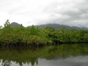 DSCN0688