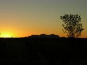 DSCN0581